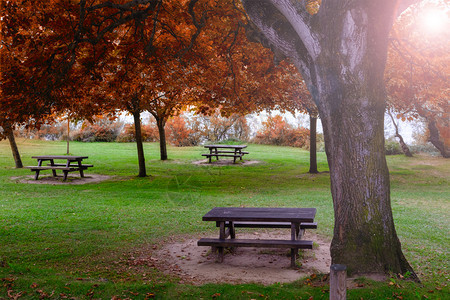 阳光明媚的秋天公园野餐桌图片