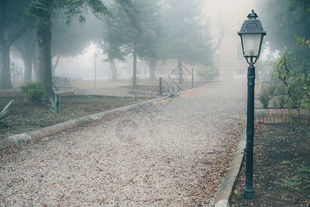 公园中弥漫着雾的浪小巷晨间城市公园图片