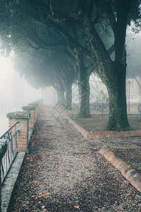 公园中弥漫着雾的浪小巷晨间城市公园图片