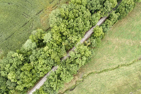 密苏里州大部分地区从废弃铁路转过来的237英里自行车道图片