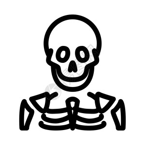人骨头插画