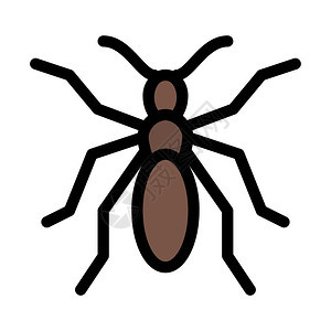 野生小蚂蚁图片
