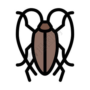 蟑螂或昆虫图片