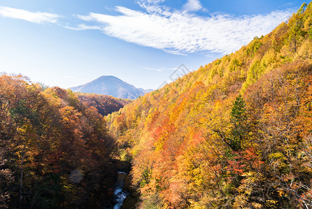 日本秋天从福岛桥起图片