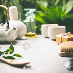 热带叶上茶成分热带上茶成分背景健康的生活和放松概念图片