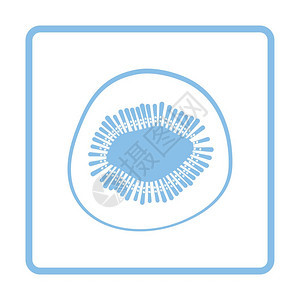 Kiwi图标蓝框设计矢量插图图片