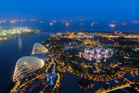 超级树园和花棚新加坡市玛丽娜湾海旁的花园夜间空中观赏图片