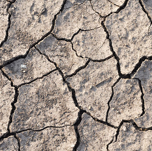 干旱期间裂土壤泥或地的背景图片