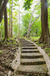 通往丛林的阶梯路泰国Kanchanburi赛约克公园图片