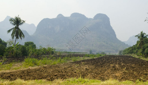 泰国农田图片