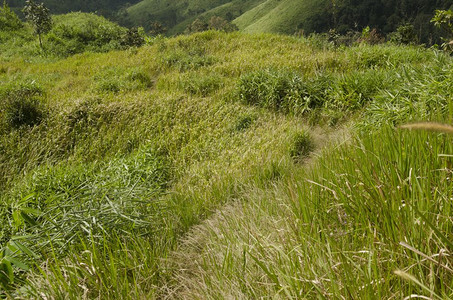 山顶风景泰国坎沙那布里乔昌普克图片