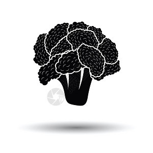 Cauliflower图标白色背景带有影子设计矢量插图图片