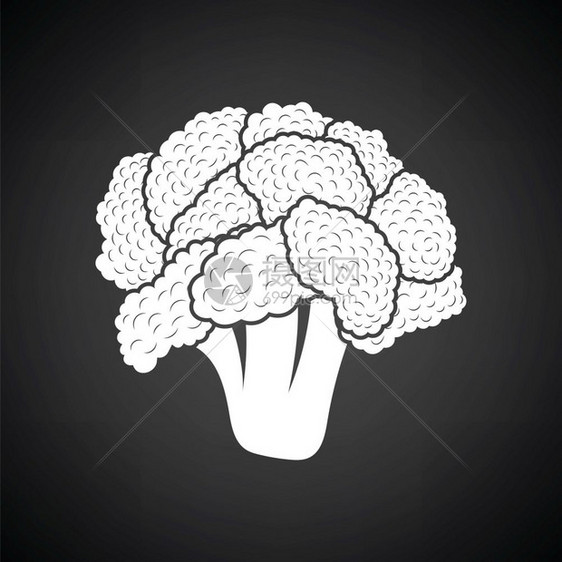 Cauliflower图标有白色的黑背景矢量插图图片