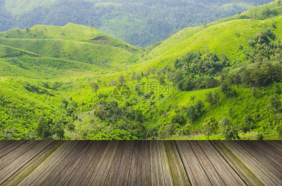 森林山区背景内一个房间的木质纹身背景图片