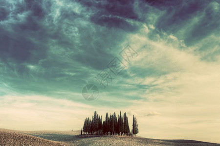 日落时意大利托斯卡纳的田地树托斯卡纳的风景是古老反向情绪日落时意大利托斯卡纳的田地树图片