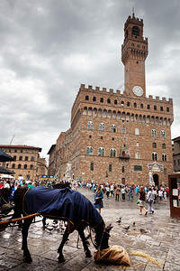 2015年9月3日意大利佛罗伦萨PalazzoVecchio旁的马与游客间歇图片