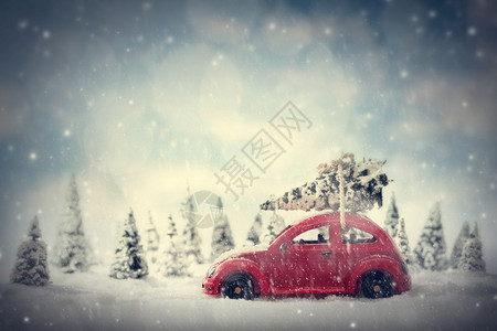 带小圣诞树的回转车小仙子带雪和森林的迷你风景带雪和森林的回转车小仙子风景带雪和森林的回转车图片