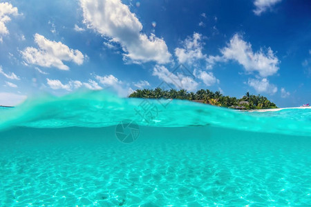 马尔代夫印度洋热带岛屿马尔代夫一半水下松绿水数下一半图片