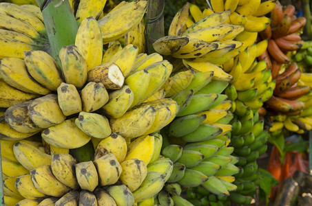 一连串成熟的香蕉背景图片