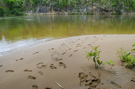 海滩沙上的脚印贴近图片