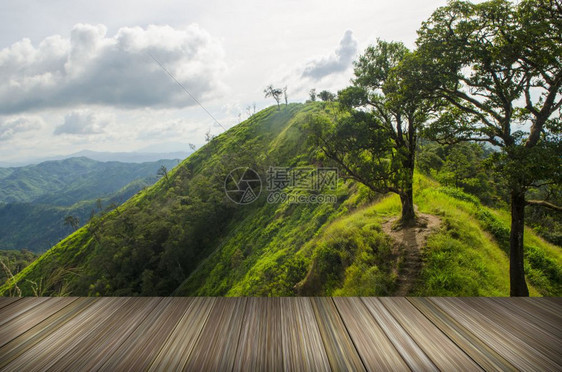 泰国热带森林山脊上的太阳区夏季风景图片