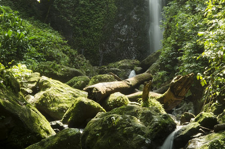 雨林热带瀑布图片