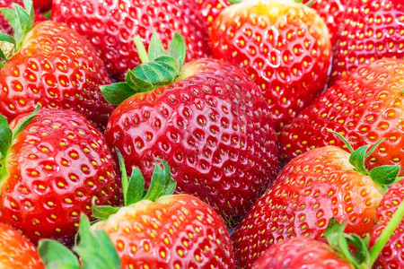 新鲜红熟多汁草莓的宏观视图图片