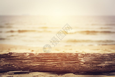 海滩上的树干洋背景阳光照耀适合文字或物体放置图片