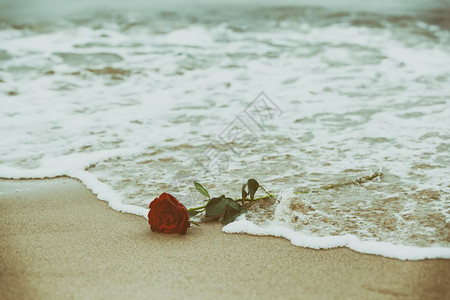 红色海滩波浪洗去海滩上的红玫瑰浪漫爱情的概念浪漫但也可能象征失落忧郁回忆过去等传统波浪洗去海滩上的红玫瑰传统爱情背景