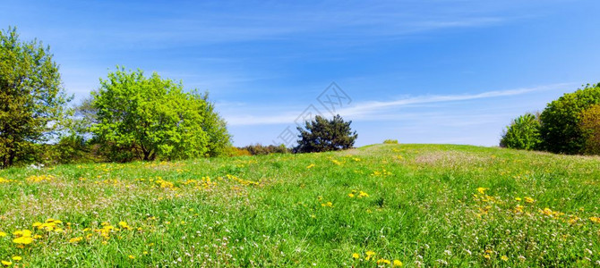 花草原背景 花草原摄影图片 花草原壁纸 摄图网 花草原背景 花草原摄影图片 花草原壁纸 摄图网