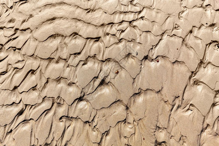 泥土背景地面图案海滩上的湿沙子地面图案图片