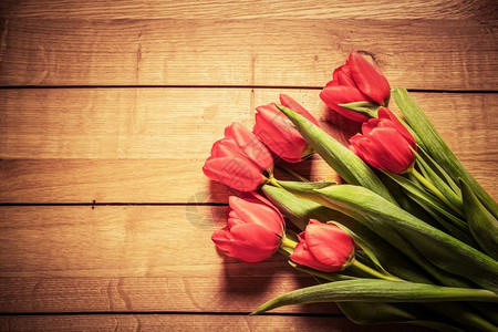 红郁金香花束在木头上天然春或情人节和日母亲和日主题红郁金香花束在木头上图片