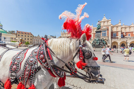 波兰克拉科夫主要老城市场广上的传统马车后面的克洛赫霍尔和米基维茨纪念碑主要老城市场广上的传统马车图片