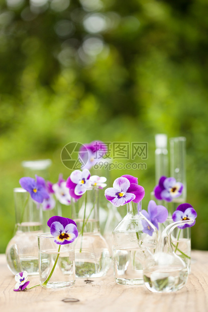 化工玻璃器花园桌装饰中的板花图片