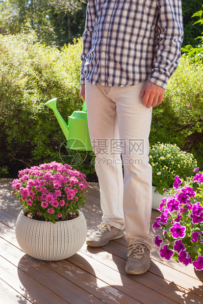 男人园丁在花里放水罐图片