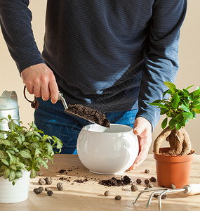 园艺在家种植男人搬图片