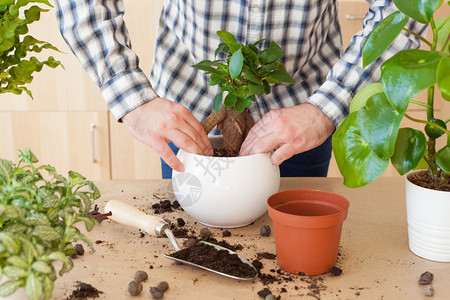 园艺在家种植男人搬图片