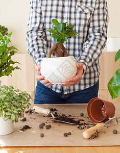 园艺在家种植男人搬图片