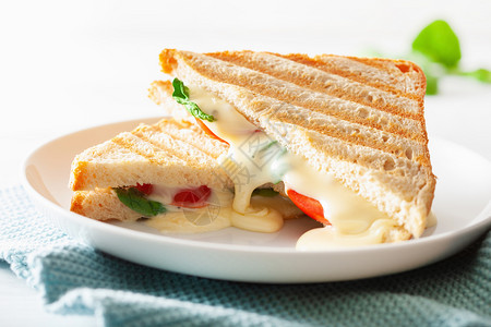 白色背景的烤奶酪和番茄三明治图片