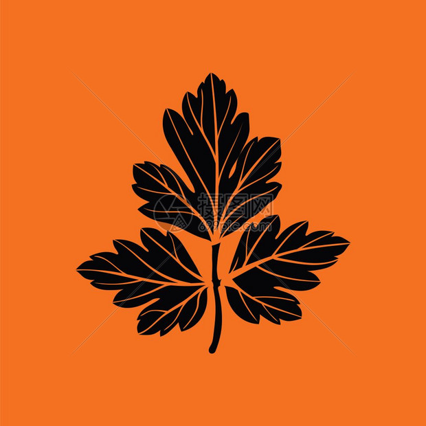 parsley图标黑色橙背景矢量插图