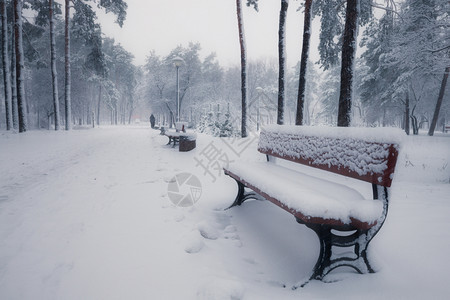 清晨冬季雪公园的班刀图片