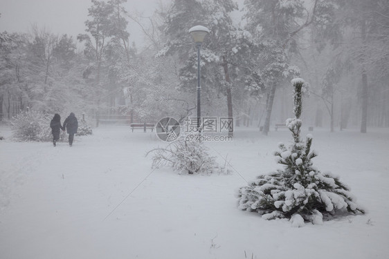 清晨冬季雪公园的班刀图片