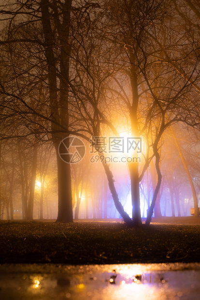 夜间城市秋天公园图片