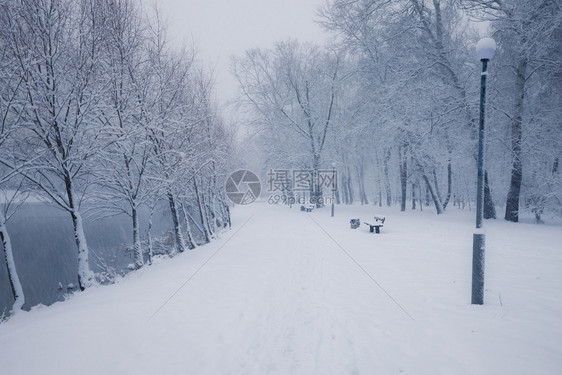 冬季寒雪城市公园小巷中满是积雪的树木图片