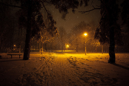 夜间冬季风景城市的雪小巷照亮公园图片