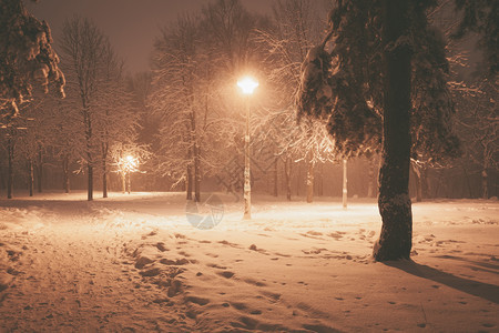 夜间冬季风景城市的雪小巷照亮公园图片