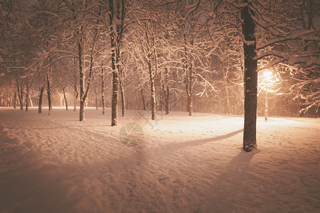 夜间冬季风景城市的雪小巷照亮公园图片
