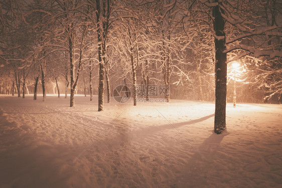 夜间冬季风景城市的雪小巷照亮公园图片