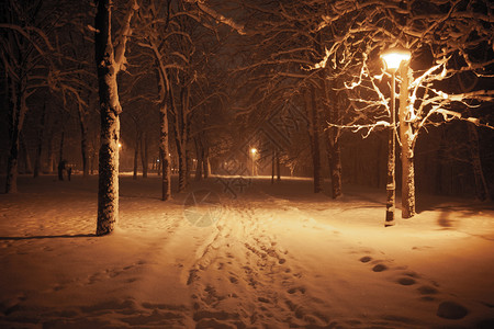 夜间冬季风景城市的雪小巷照亮公园图片