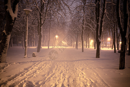 夜间冬季风景城市的雪小巷照亮公园图片